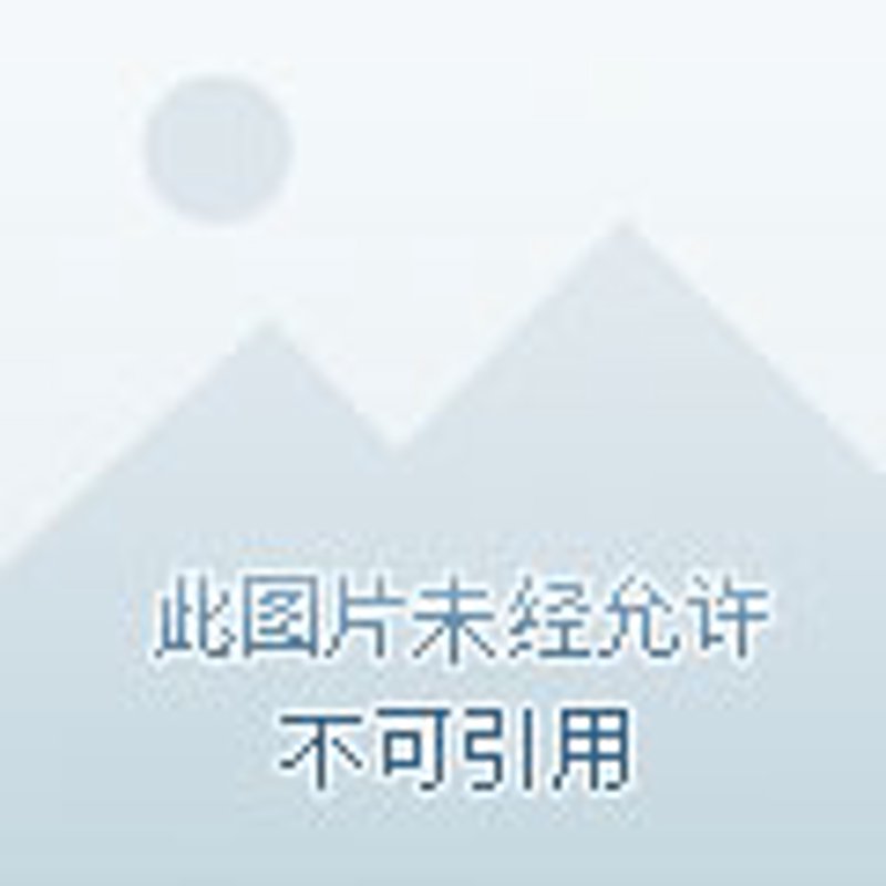 深圳新能源产业的创新之路：一家新兴公司的成长历程